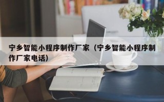 高密宁乡智能小程序制作厂家（宁乡智能小程序制作厂家电话）